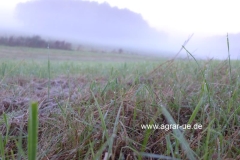 herbst_1