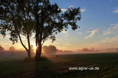 herbst_2