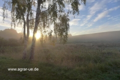 herbst_4