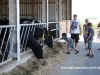 img_7588-andere