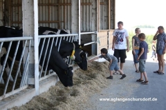 img_7588-andere